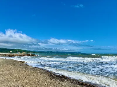 В Краснодарском крае покраснело Чёрное море