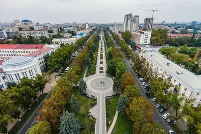 Мэр Краснодара предложил сделать улицу Красноармейскую пешеходной - KP.RU