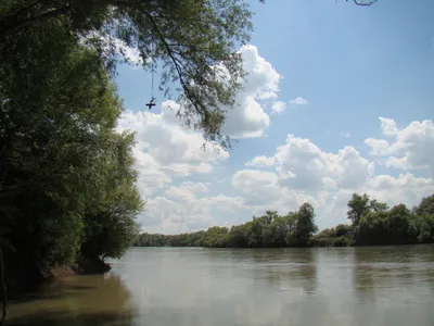 File:River Kuban. Krasnodar reg. Russia. Река Кубань. Краснодарский край.  Россия - panoramio.jpg - Wikimedia Commons