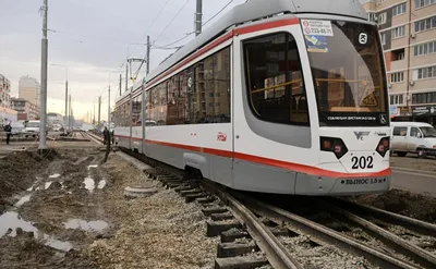 Краснодар, Stadler B85300М «Метелица» № 202; Краснодар — Новые трамваи и  троллейбусы — Фото — Городской электротранспорт