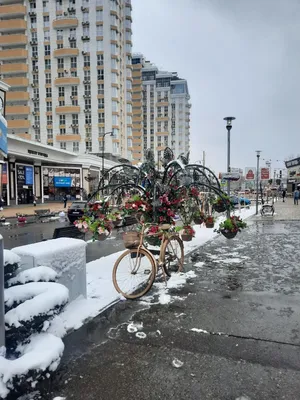 331 Краснодар/торговый центр Центр города/Гжельский фарфор/Переезд на  Кубань. - YouTube