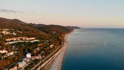 В Краснодаре под окнами многоэтажки нашли тело девочки, она выпала с 11-го  этажа - Газета.Ru | Новости