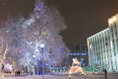 До 27 м/с разогнался ветер в Краснодаре в первую ночь декабря. Показываем  последствия. 01.12.2021 г. Телеканал «Краснодар»