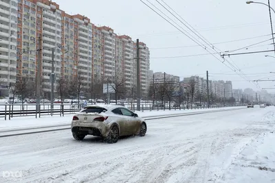 🌳 Парк Галицкого в Краснодаре, декабрь 2023 | Главный - Новости  Ростова-на-Дону - 161 | ВКонтакте