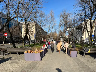 Где в Краснодарском крае сегодня жить дёшево и дорого. Декабрь 2022 |  Переезд в Краснодар | Дзен