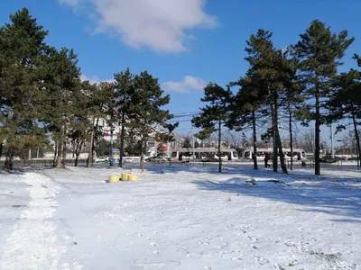 Аномально холодный март в Краснодаре | Жизнь и Чувства | Дзен