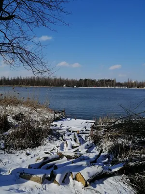 погода 8 марта в Краснодаре | Погода, Краснодар