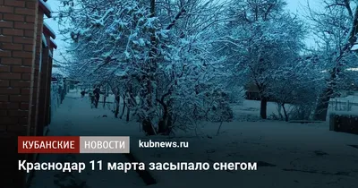 В Краснодаре с 18 марта улица Красная будет пешеходной по выходным - Южные  дела