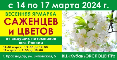 Туры в Краснодар, Россия в марте на 14 и более дней ультра все включено из  Москвы / 1001 ТУР