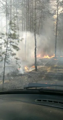 На трассе Омск — Красноярка в ДТП попал ВАЗ с пассажирами