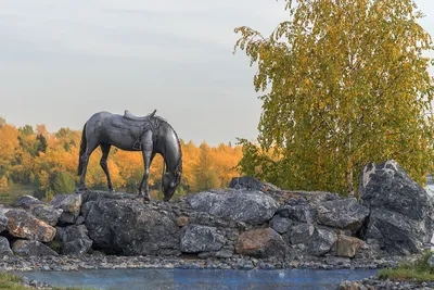 Город Красноярск Воздуха Панорамный Вид С Горы Караульная Зрения В Г.  Красноярск, Россия Фотография, картинки, изображения и сток-фотография без  роялти. Image 65637768