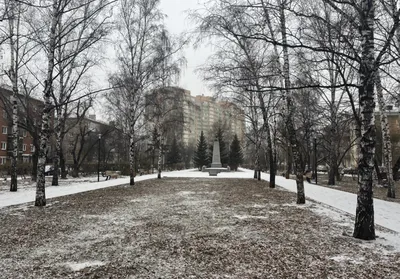 Сегодня в Красноярске будет самый теплый день на неделе — Новости  Красноярска на 7 канале