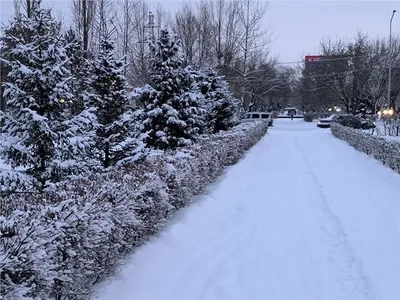 Ливень В Красноярске: последние новости на сегодня, самые свежие сведения |  НГС24 - новости Красноярска