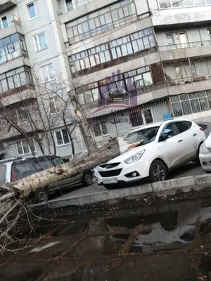 В Красноярске пьяный водитель разнёс 6 машин на парковке — Новости  Красноярска на 7 канале