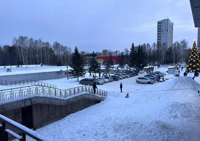 Жилой район Пшеница от застройщика Брусника. Сибакадемстрой - официальный  сайт