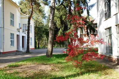 Церковь Андрея Смоленского, Красный Бор (Смоленск, город), фотография.  дополнительная информация