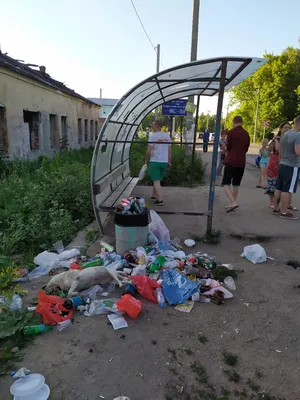 Лесопарк Красный Бор – «зеленые легкие» г. Смоленска