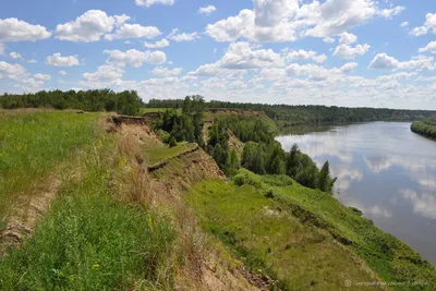 Карташевский Яр на Иртыше. Омская область - Фото