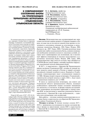 Двое подростков погибли, водитель госпитализирован. Подробности страшной  аварии под Ульяновском | Главные новости Ульяновска