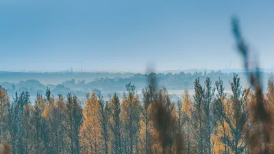 Санаторий Красный холм, Ярославская обл. | цены 2024 с лечением и питание,  официальный сайт