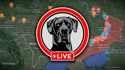 Пропала собака Норд на ул. Менделеева, 41, Краснодар | Pet911.ru