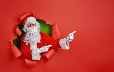 Поделка Креативный Дед Мороз №275270 - «Новогодние фантазии» (27.12.2021 -  11:43)