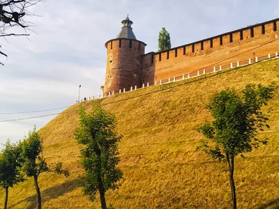 Крепость, усадьбы, банк. Нижегородские здания, достойные книг | События |  ОБЩЕСТВО | АиФ Нижний Новгород