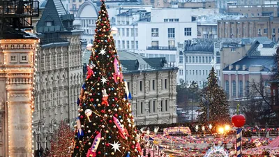 Кремлевская елка москва фото фотографии