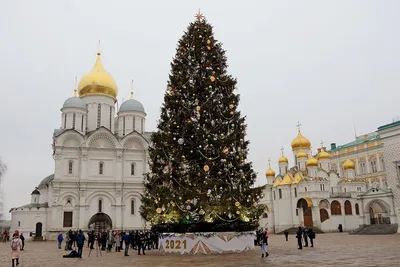 Кремлевская елка 2023-2024: как попасть, цена билета, подарок - Российская  газета