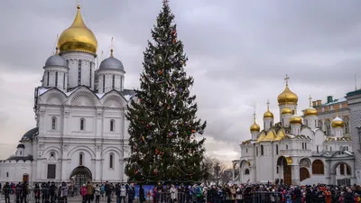 Владимир Путин запланировал посещение новогодней елки в Кремле — РБК