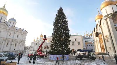 В Москве прошла первая Кремлевская елка