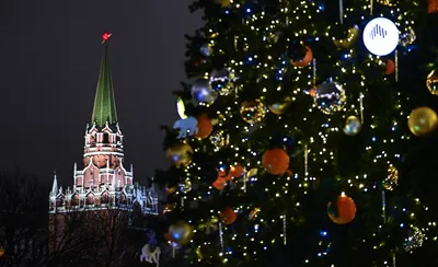 Кремлевская елка и огни новогодней Москвы: присоединяйтесь к праздничному  путешествию в сказку : Псковская Лента Новостей / ПЛН