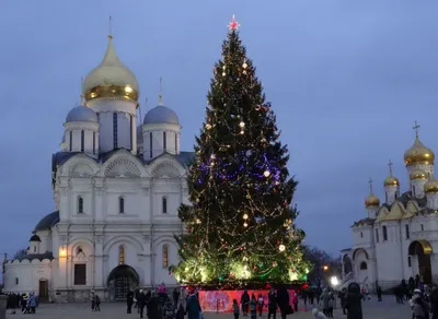 Елка искусственная Кремлевская 2,7 м – купить недорого в Москве