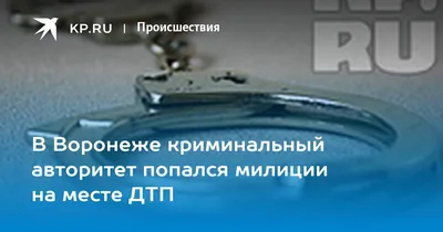 Разборки на Алексеевском рынке: как пользоваться чужой землей бесплатно и  получать за нее прибыль