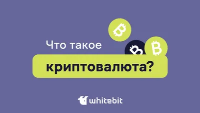 Существуют огромные риски»: эксперт Каминский объяснил, кому в России будет  доступна криптовалюта