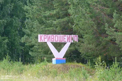 Кривошеино