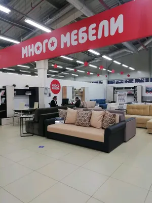 Детская кровать ADRK Furniture Casimo, 70х140 см, разных цветов цена |  kaup24.ee