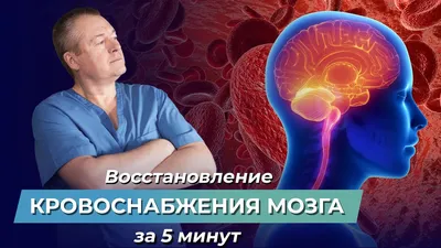 Болезни системы кровообращения — причина смерти №1 в Латвии / Статья