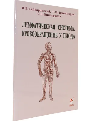 Нарушение кровообращения в конечностях: причины и лечение