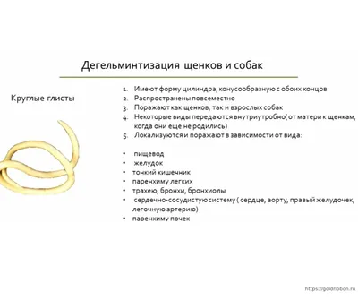 Гельминтоз - причины появления, симптомы заболевания, диагностика и способы  лечения