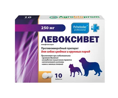 Приют Собак «Остров Надежды» on Instagram: \"Помогите нам,  пожалуйста,приобрести крупу для собак😔 Мы только обрадовались, что  благодаря Вам запаслись дровами на зиму, как очередная беда подкралась  незаметно... На оставшиеся 5000 мы вчера