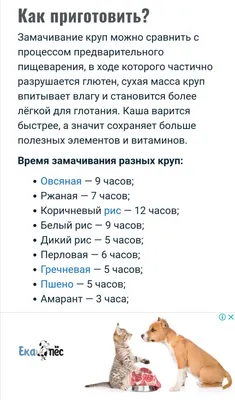 Меня попросили стбрать на крупу. Мясо собаки не видят уже давно. |  Zveropolisperm | Дзен