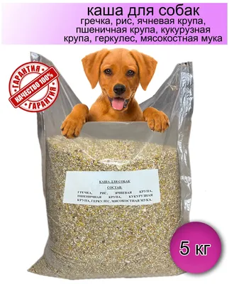 Круп немецкой овчарки - Incredibledog