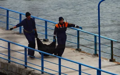 Тела 13 человек обнаружены на месте крушения Ту-154