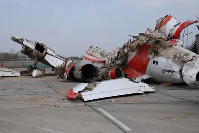 Польша откажется от версий о вине России в катастрофе Ту-154 Качиньского -  AEX.RU