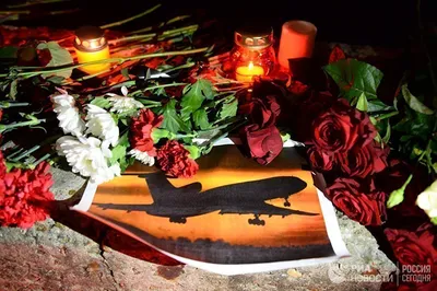 СКР допросил очевидца, снявшего на видео падение Ту-154 в Сочи - BBC News  Русская служба