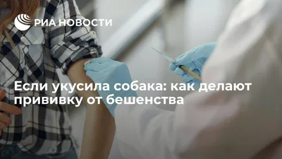 Как правильно сделать укол кошке или собаке внутримышечно. Видео