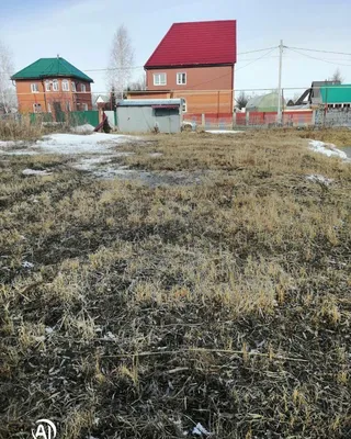 СПК «Алмаз» прибыл на ВС «Олимпийские надежды» в г.Уфа 🚂  Завтра/послезавтра в бой 👊 #кудряши #кудряшовский #новосибирск… | Instagram