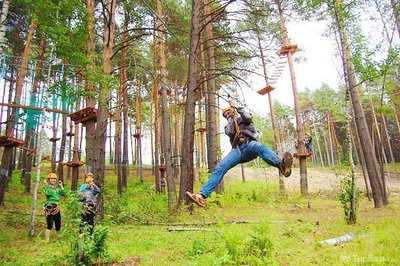 Отзывы о «Кулига-Парк», Тюменский район, село Кулига — Яндекс Карты