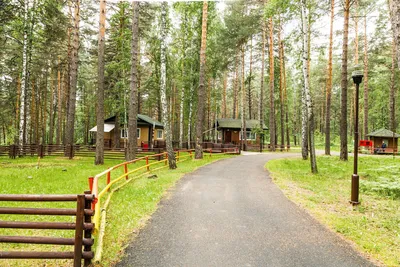 ТЮМЕНЬ. КУЛИГА ПАРК. ЦЕНЫ и ОБЗОР. ПЛЯЖ. ОЗЕРО. БАЗА отдыха. | Сами по себе  - LifeFamily | Дзен